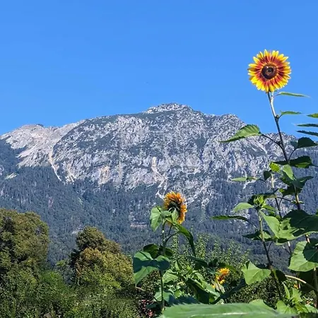 Pur * Bad Reichenhall